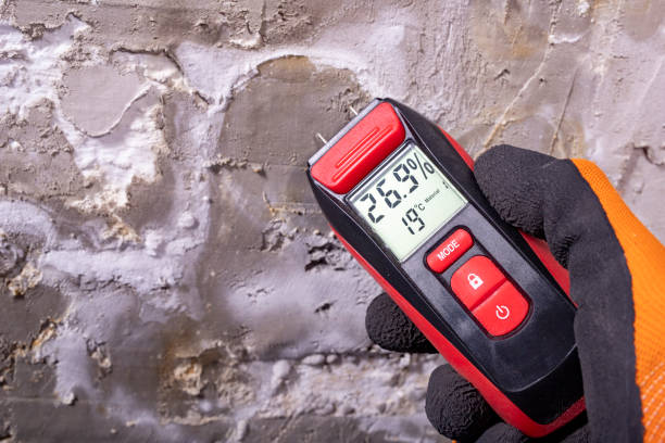 Best Mold Testing  in Roxboro, NC