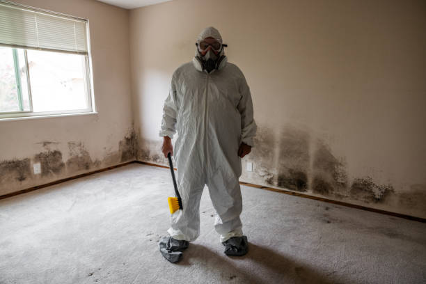 Home Mold Removal in Roxboro, NC